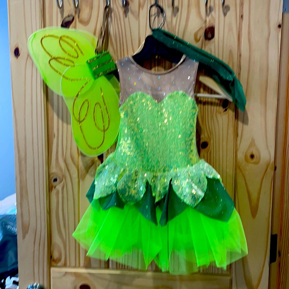 Fairy costume
